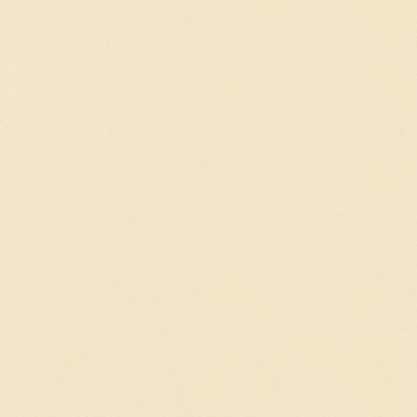 Бумага цветная 120 г/м², A4 21х29.7 см, 50 шт, 27 холодный кремовый/cool cream, Vista-Artista MPO-A4