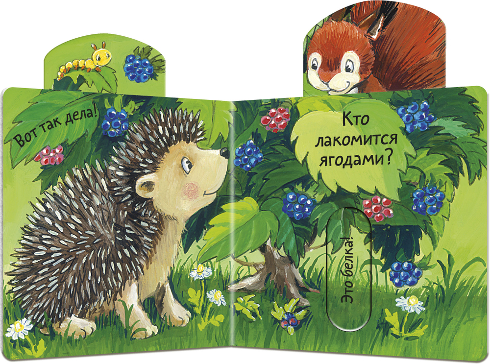 Вжух! Кто что ест?