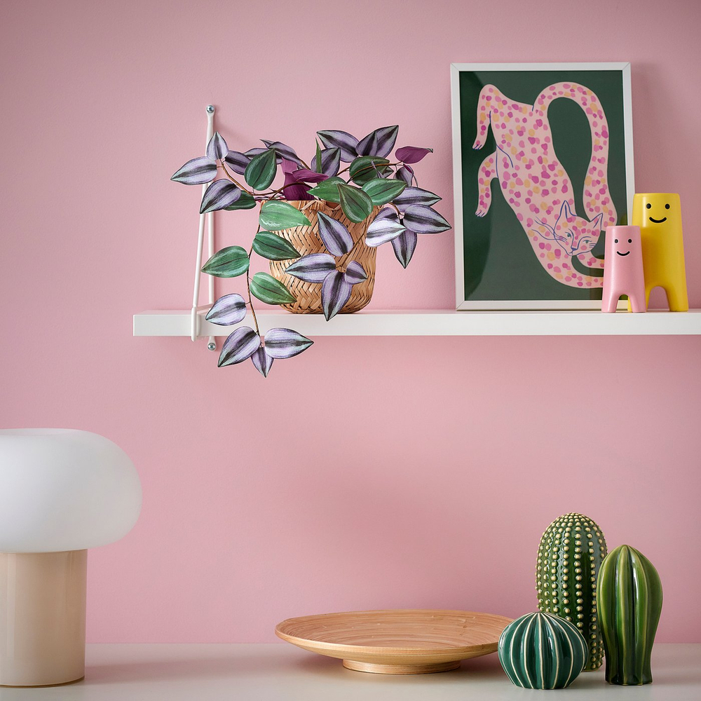 IKEA SMÅTÄRNA  (ИКЕА СМОТЭРНА)  -  Искусственное растение в горшке - бумага/традесканция 10 см