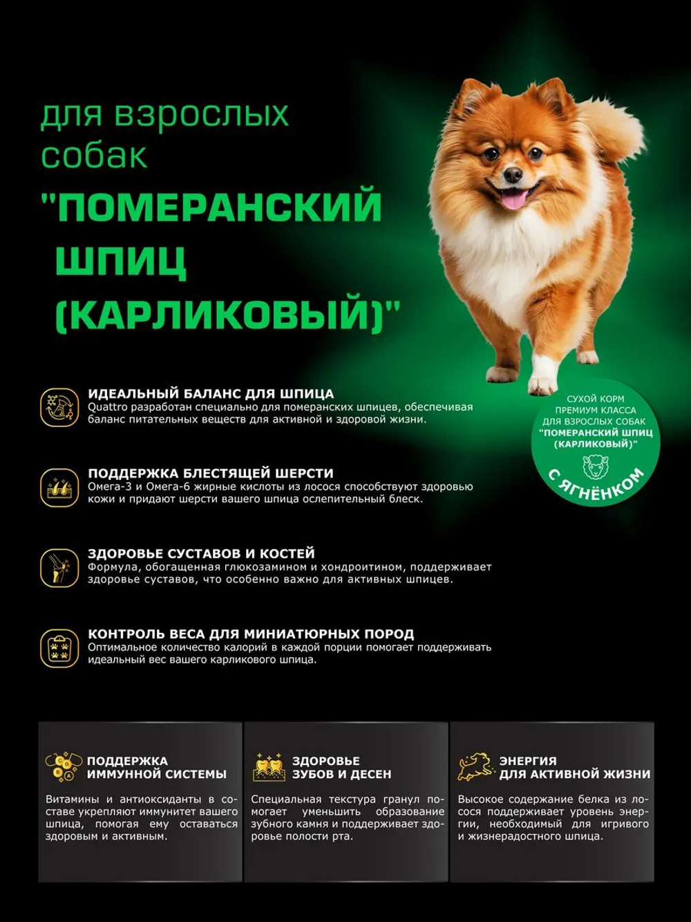 Корм сухой для взрослых собак породы Померанский шпиц (карликовый), с ягненком, 12 кг, QUATTRO