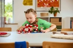 Конструктор LEGO Minecraft 21270 Мухоморный дом