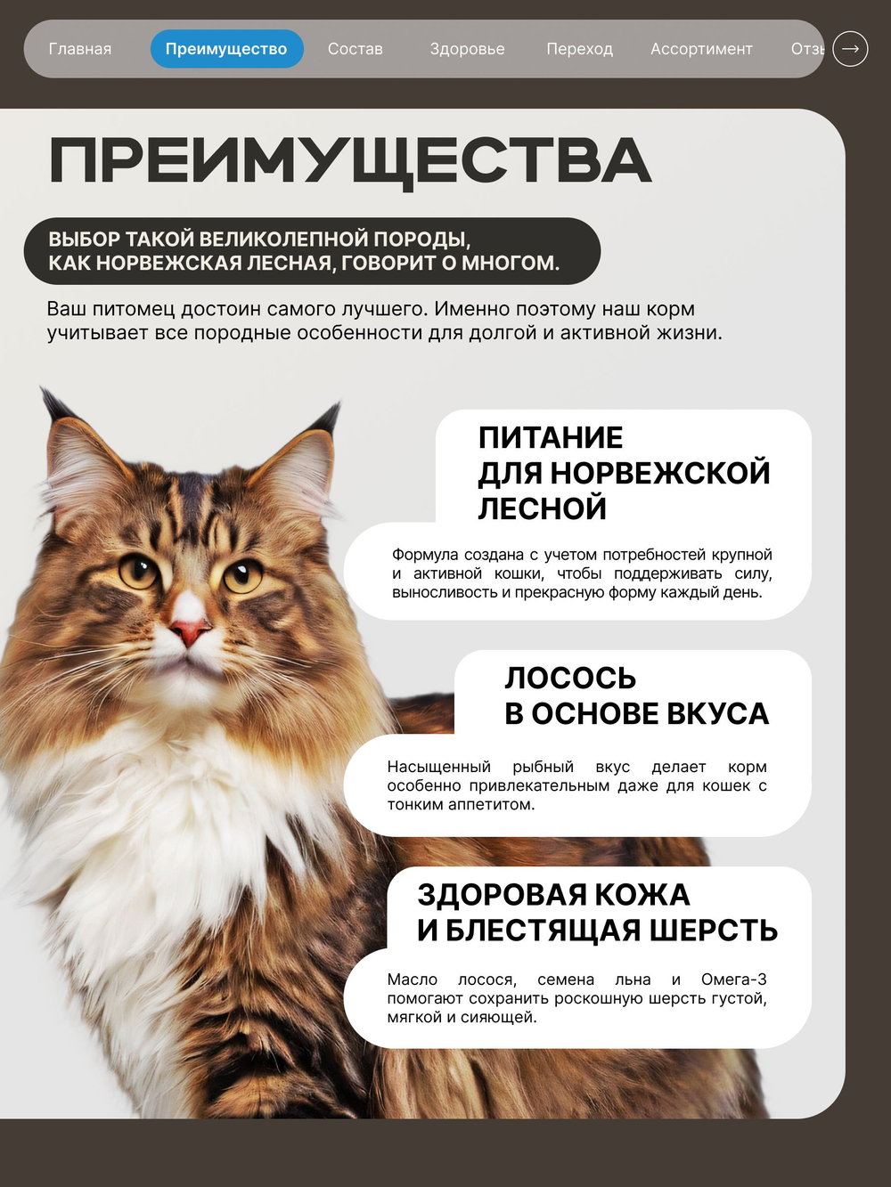 Корм сухой для взрослых кошек породы Норвежская лесная, с лососем, 5 кг, QUATTRO