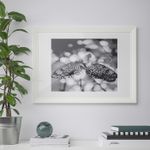 Фоторамка IKEA EDSBRUK (ЭДСБРУК), Белый, 50х70 см