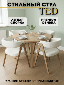 Стул мягкий для кухни TED кресло для дома