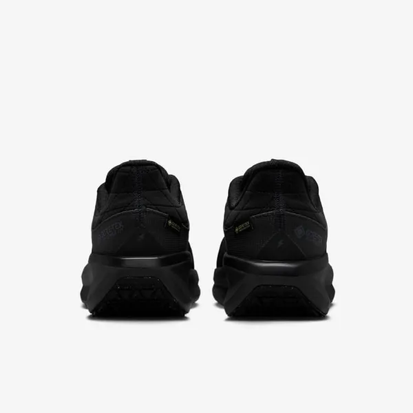 Кроссовки женские NIKE W AIR WINFLO 11 GTX