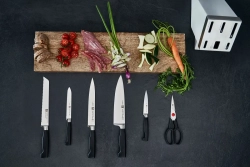 Zwilling Набор из 4 четырех звездных ножей в блоке + ножницы EAN 4009839537462