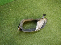 DSCN9515.jpg