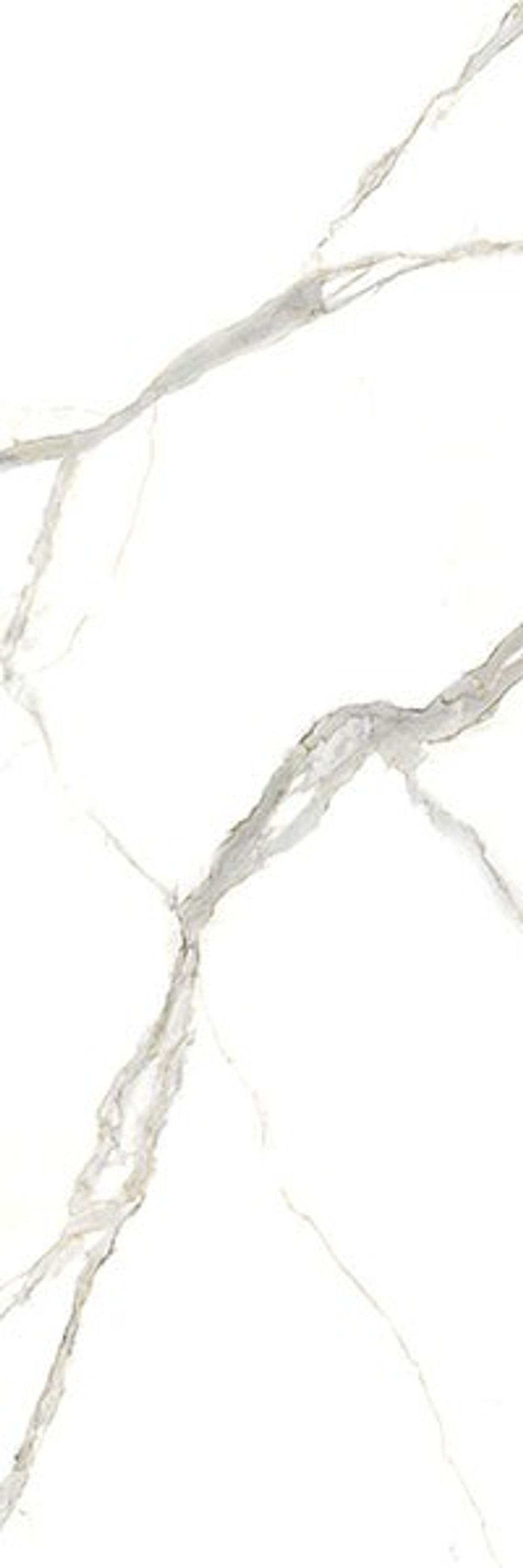 CALAC. MICHELANGELO LUC. 100X300X5.6