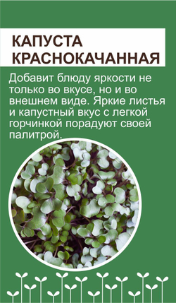 Набор для выращивания микрозелени ЛЕГКИЙ СТАРТ: семена, агровата, лотки
