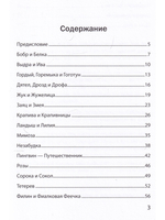 Буквы, спрятанные в сказках: сборник историй для изучения согласных