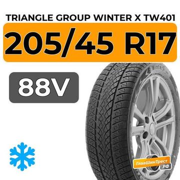 Triangle Group Winter X TW401 205/45 R17 88V XL