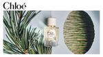 Парфюмерная вода Chloé Atelier des Fleurs Cedrus 50 мл Оригинал