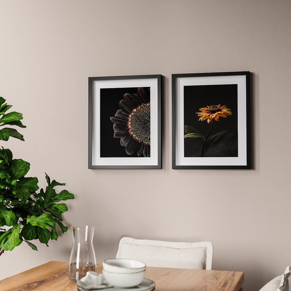 IKEA RÖDALM (ИКЕА РОДАЛМ) — Рамка для плаката, подсолнухи, 40x50 см, фото 3