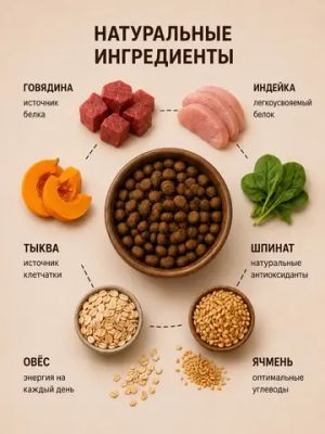 Сухой корм Fealdon для взрослых собак мелких пород с говядиной