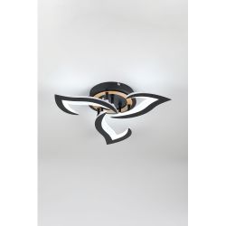 Светильник потолочный светодиодный Rivoli Cassandra 6194-703 LED 3000-6250К 42 Вт с пультом | Интерьерные светодиодные светильники