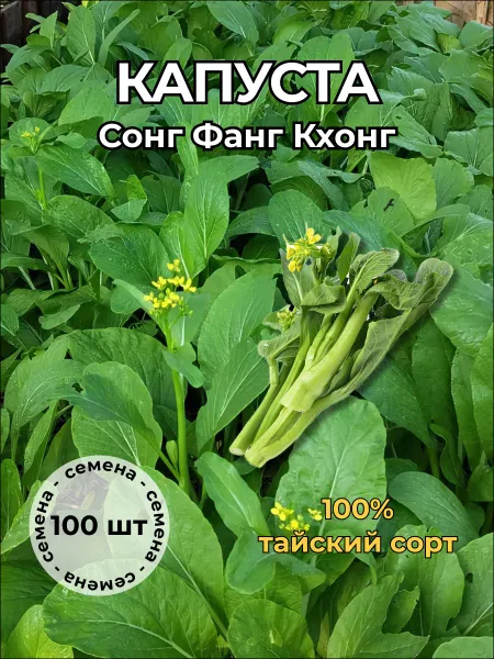 Капуста тайская "Сонг Фанг Кхонг" — семена, 100 шт.