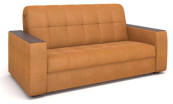 Paloma camel
