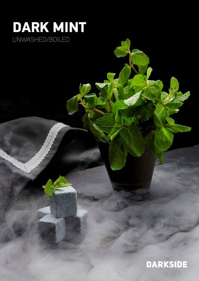 DarkSide BASE - Dark Mint (30г)