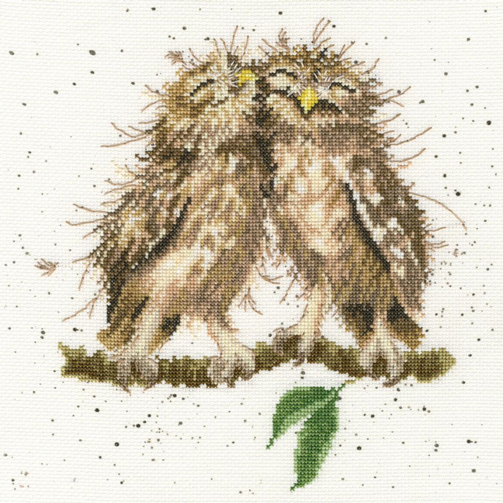 Набор для вышивания нитками Bothy Threads, Birds of a feather (Птицы одного полета), 26х26 см