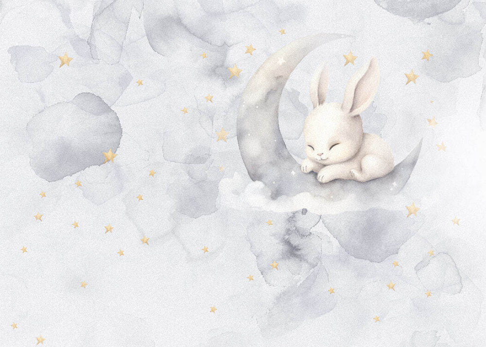 Детские №338 Фотообои и Фрески