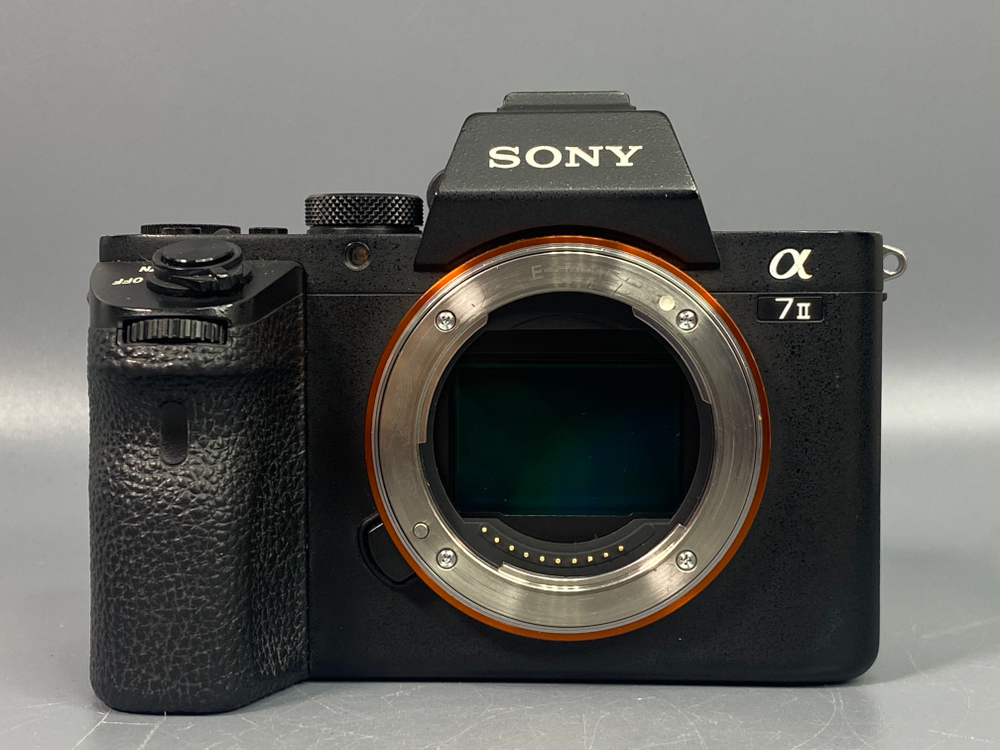 Sony A7 II 45000 кадров