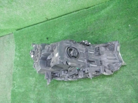 DSCN8446.JPG