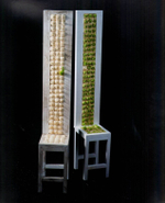 Hiroyuki Oka. Monograph
