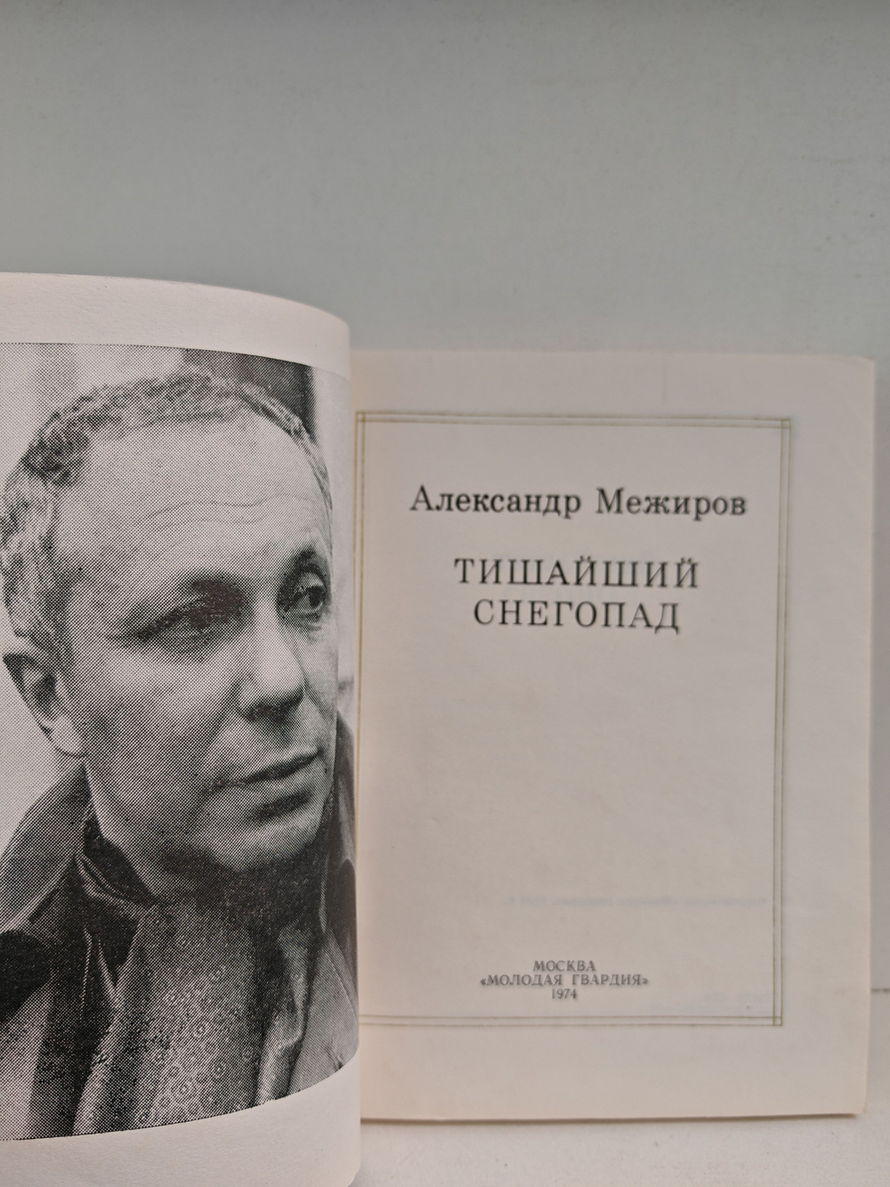 Тишайший снегопад. Стихи
