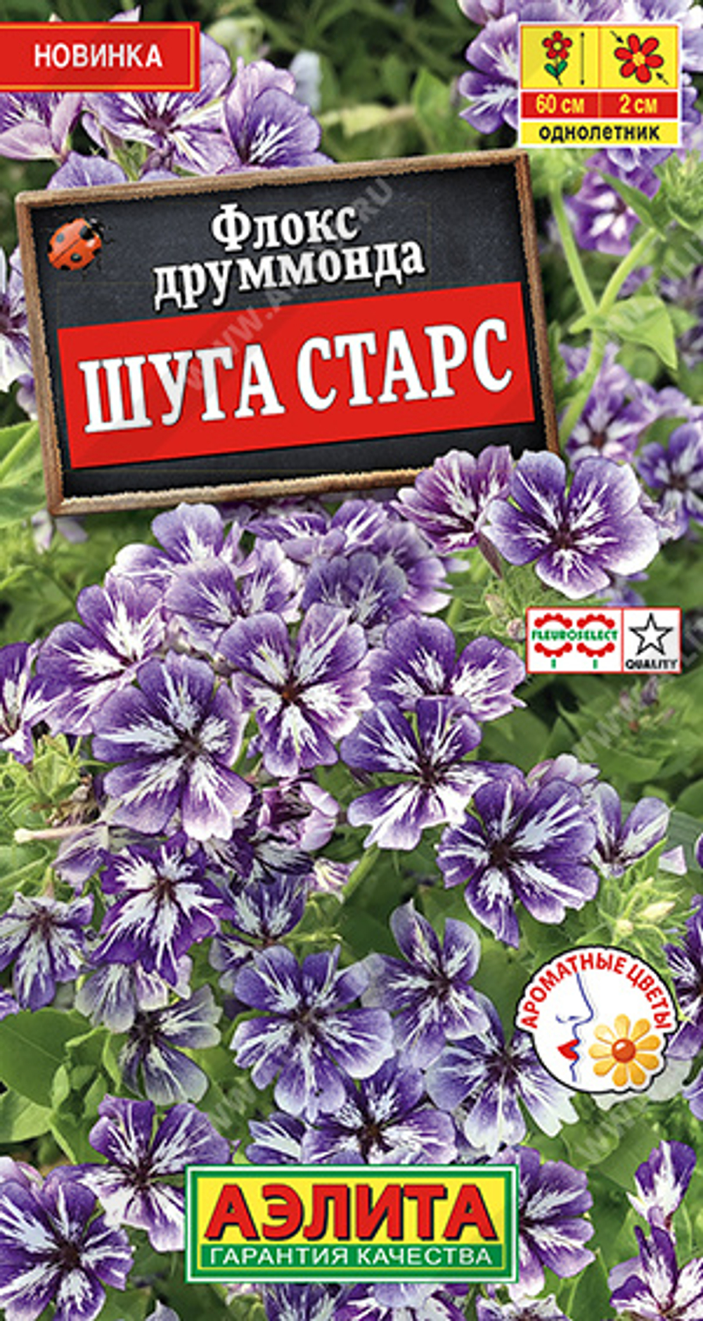 Флокс Шуга старс друмм. 20шт Ц Аэлита
