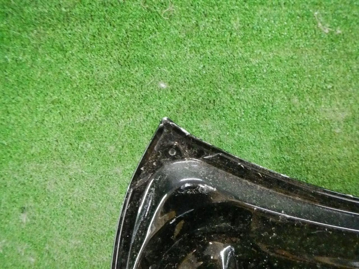 DSCN2407.jpg