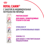 Royal Canin Savour Exigent Сэйвор Экзиджент Корм сухой для взрослых кошек привередливых ко вкусу 10кг