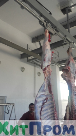 Линия ритуального убоя КРС 50 голов/смена. Ставропольский край