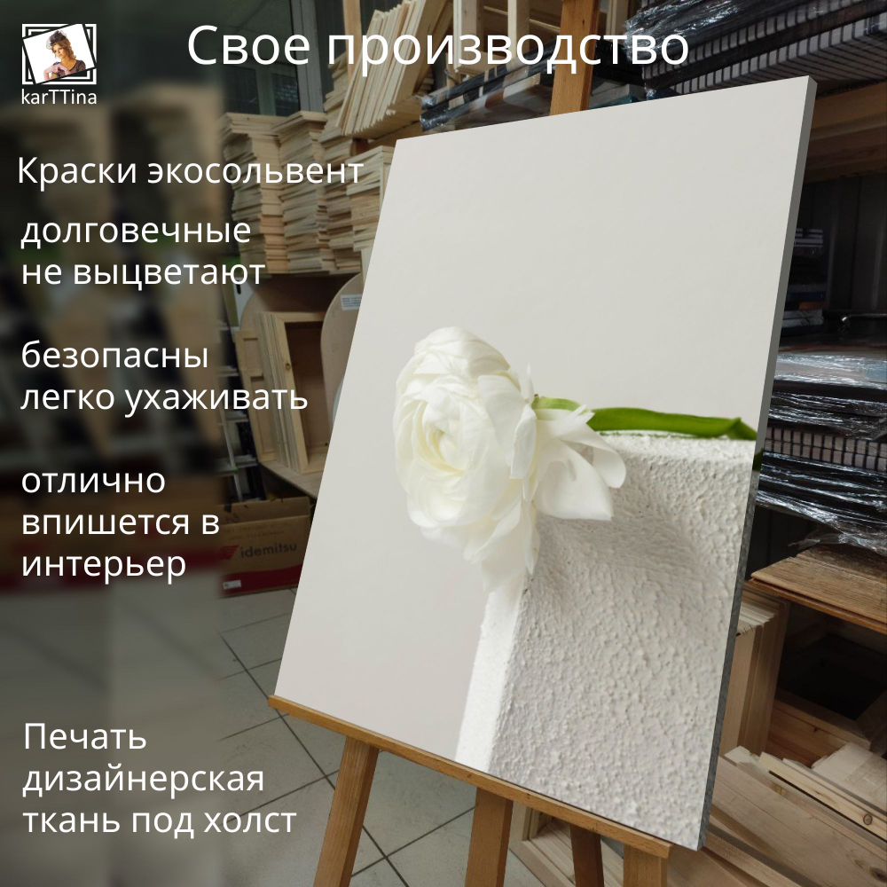 Картина на стену "Белые лепестки" 50х70см 1шт.