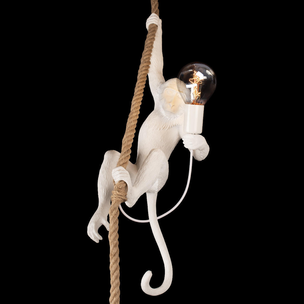 Подвесной светильник Loft It Monkey  10314P