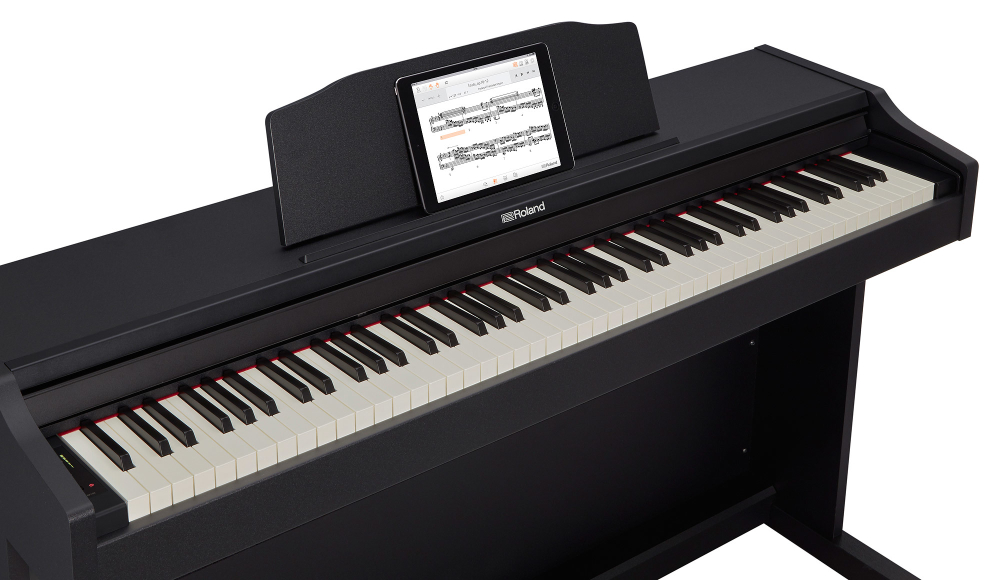 Roland RP-102