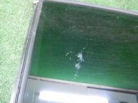 DSCN8981.JPG