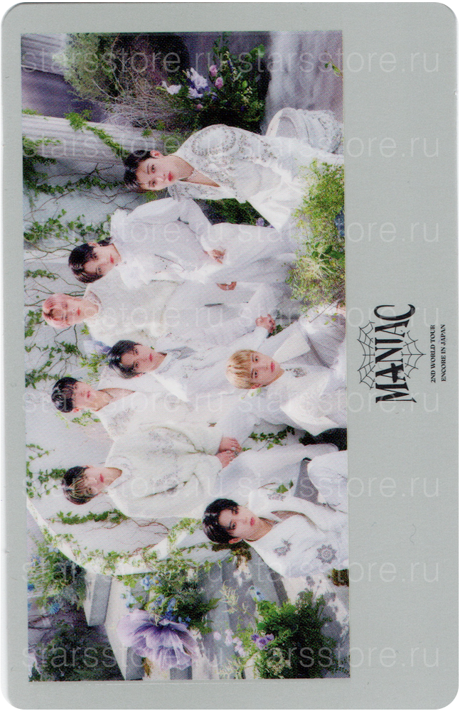 Фотокарта общая Stray Kids "MANIAC ENCORE" (B ver) Фотокарта общая Stray Kids "MANIAC ENCORE" (B ver)