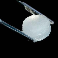 Коллагеновый матрикс  (BioPLATE) FibroMatrix