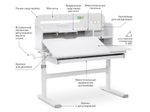 Растущая парта Ergokids TH-330 (1000×600 мм)