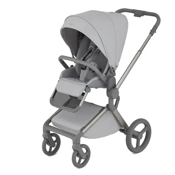Коляска ANEX Flo 3 в 1 Frossy