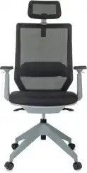 Кресло эргономичное Бюрократ MC-G611NL-H черный Elastic-102 с подголов. крестов.4-луч. пластик пластик серый