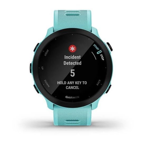 Умные часы Garmin Forerunner 55 аква