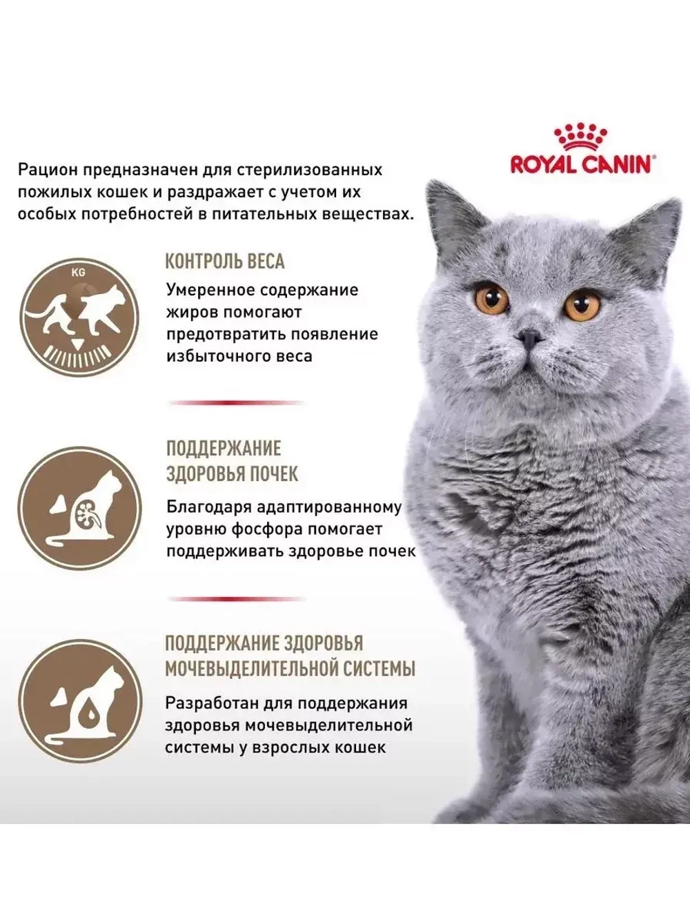 ROYAL CANIN Ageing Sterilised 12+ (Роял Канин Эйджинг Стерилайзд 12+) сухой корм для кошек 4кг