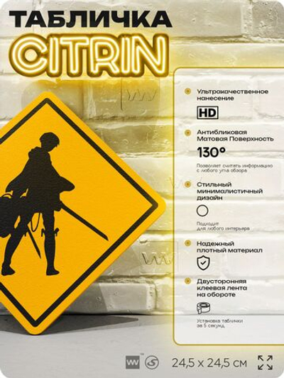 Табличка по аниме "Атака Титанов, Леви Аккерман" на дверь и стену, прикольная штука в подарок анимешнику, декоративный знак, 24,5х24,5 см, пластиковая, Айдентика Технолоджи