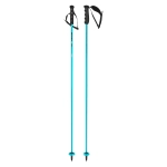 HEAD 381215 World Cup Carbon палки гл 12,3 mm/Carbon speed blue/black/white