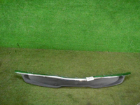 DSCN4235.JPG