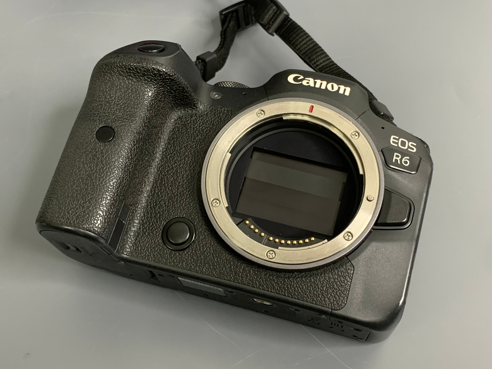 Canon EOS R6 36.000 кадров