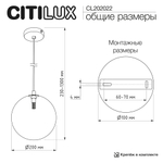 Citilux ORTON CL202022 Подвесной светильник Шампань