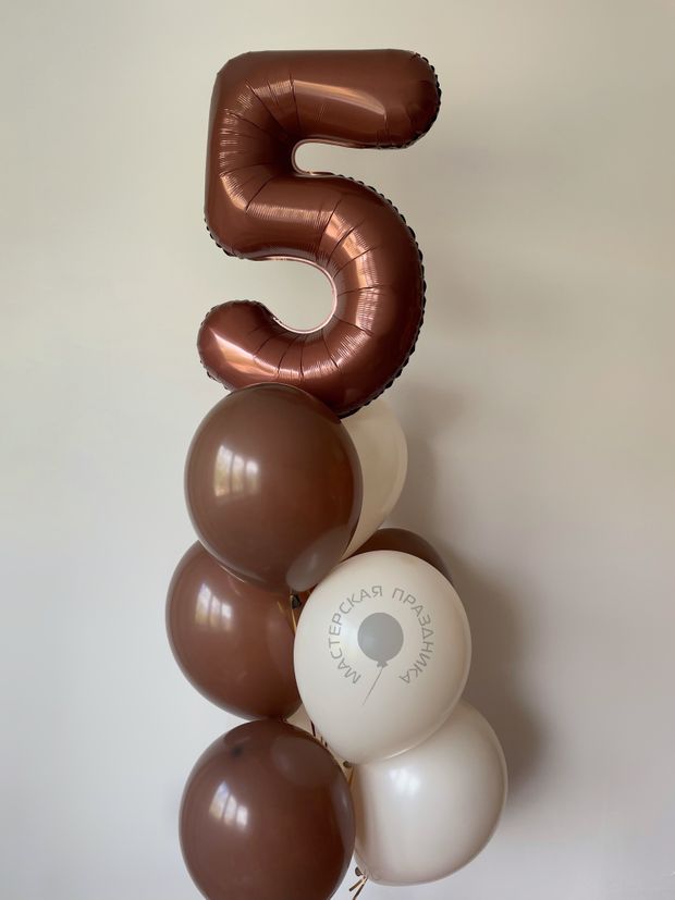 Воздушные шары на 5 лет №8571