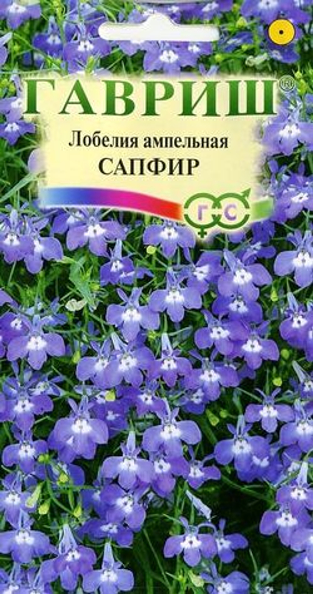 Растение, культивируемое как однолетник из семейства Лобелиевые. Побеги тонкие, стелющиеся, длиной д